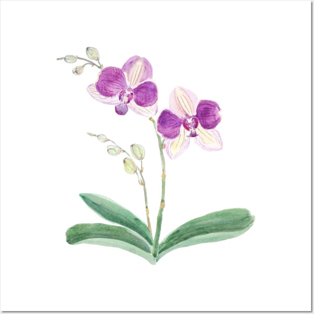 purple orchid watercolor Wall Art by colorandcolor